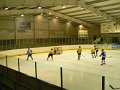 Pikarec_hokej(25)