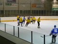 Pikarec_hokej(11)