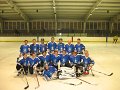Pikarec_hokej(2)