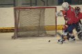 hokej_Bory(20)