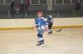 hokej_Bory(23)