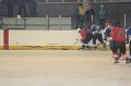 hokej_Bory(39)